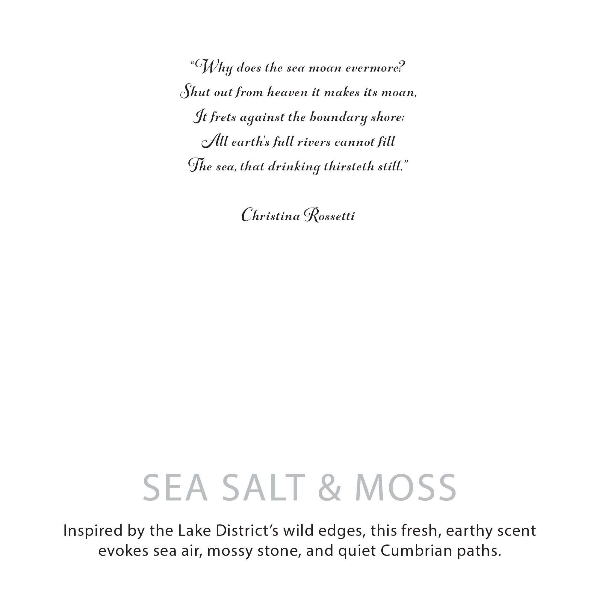 Agnes + Cat Botanical Soy Wax Candle - Seasalt & Moss