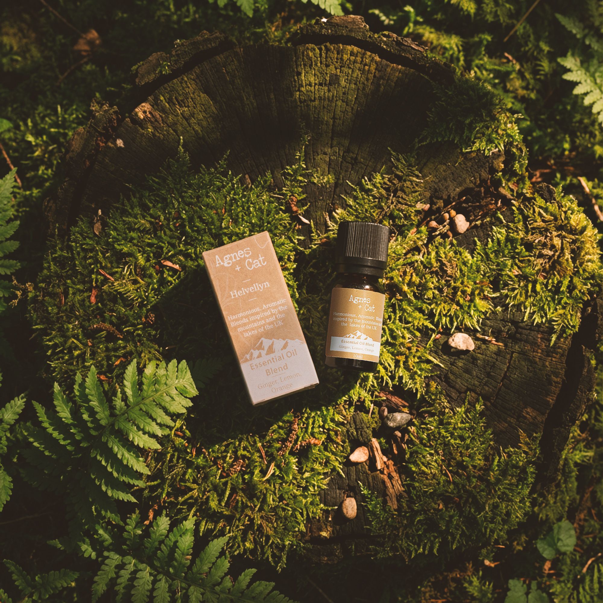 Agnes + Cat Essential Oil Blend - Skiddaw Box - Orange, Lavender & Spruce