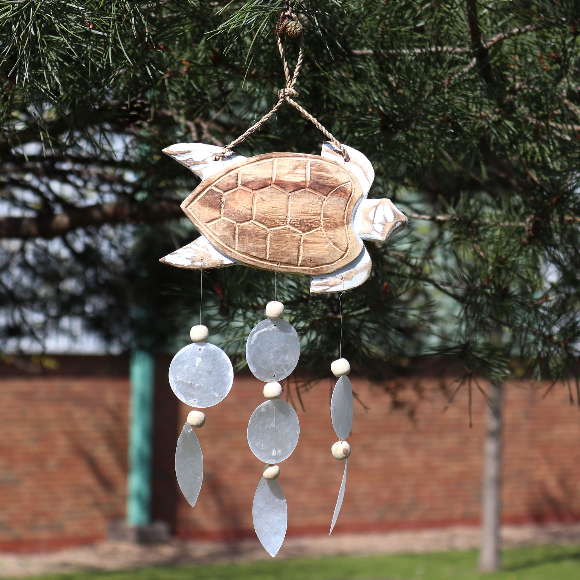 Whitewash Turtle Carving and Natural Copis Drop