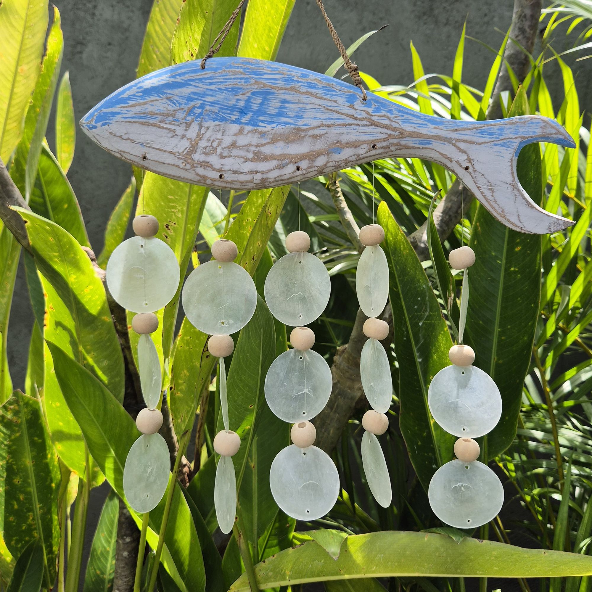Bluewash Fish Carving and Natural Copis Drop