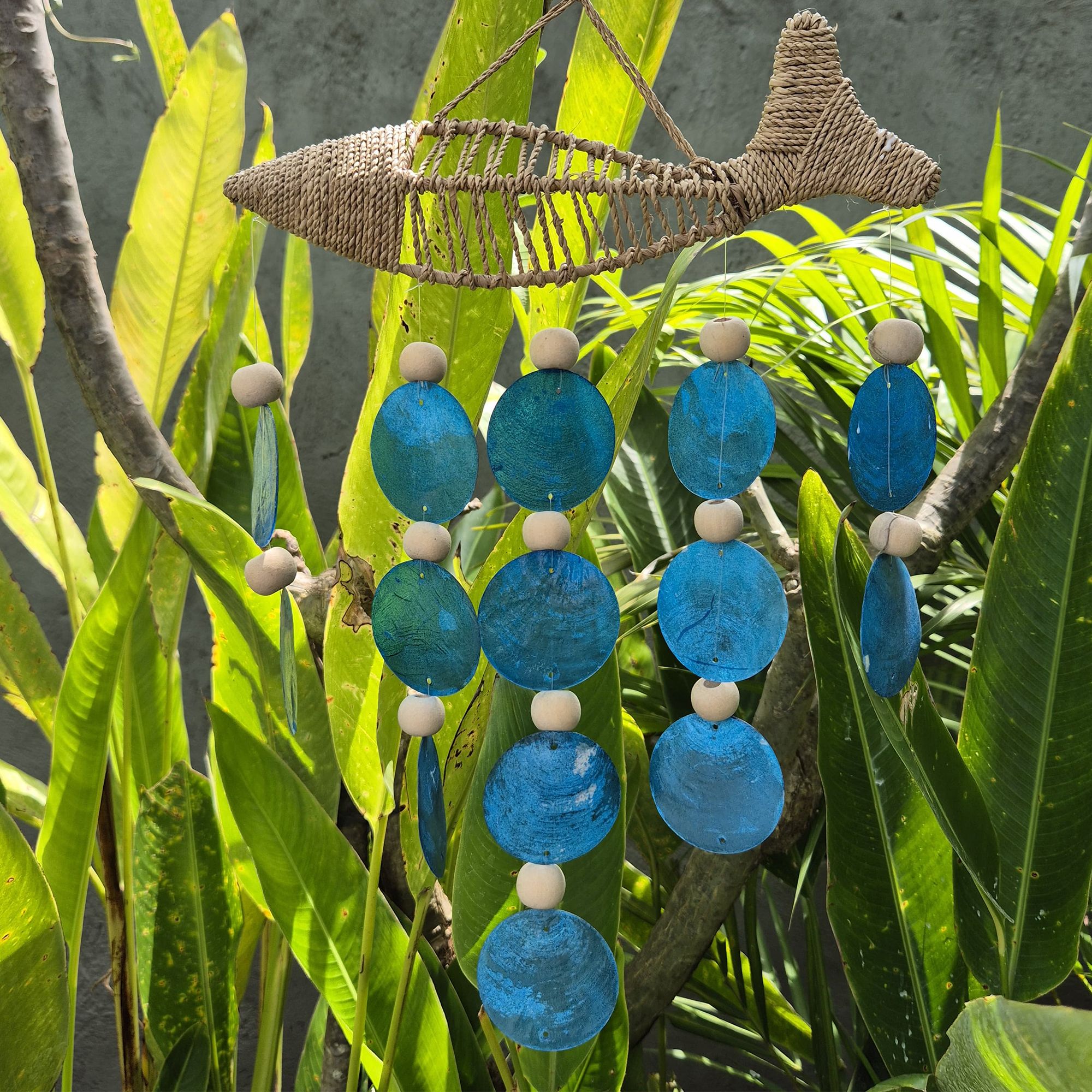 String Fish and Blue Copis Drop