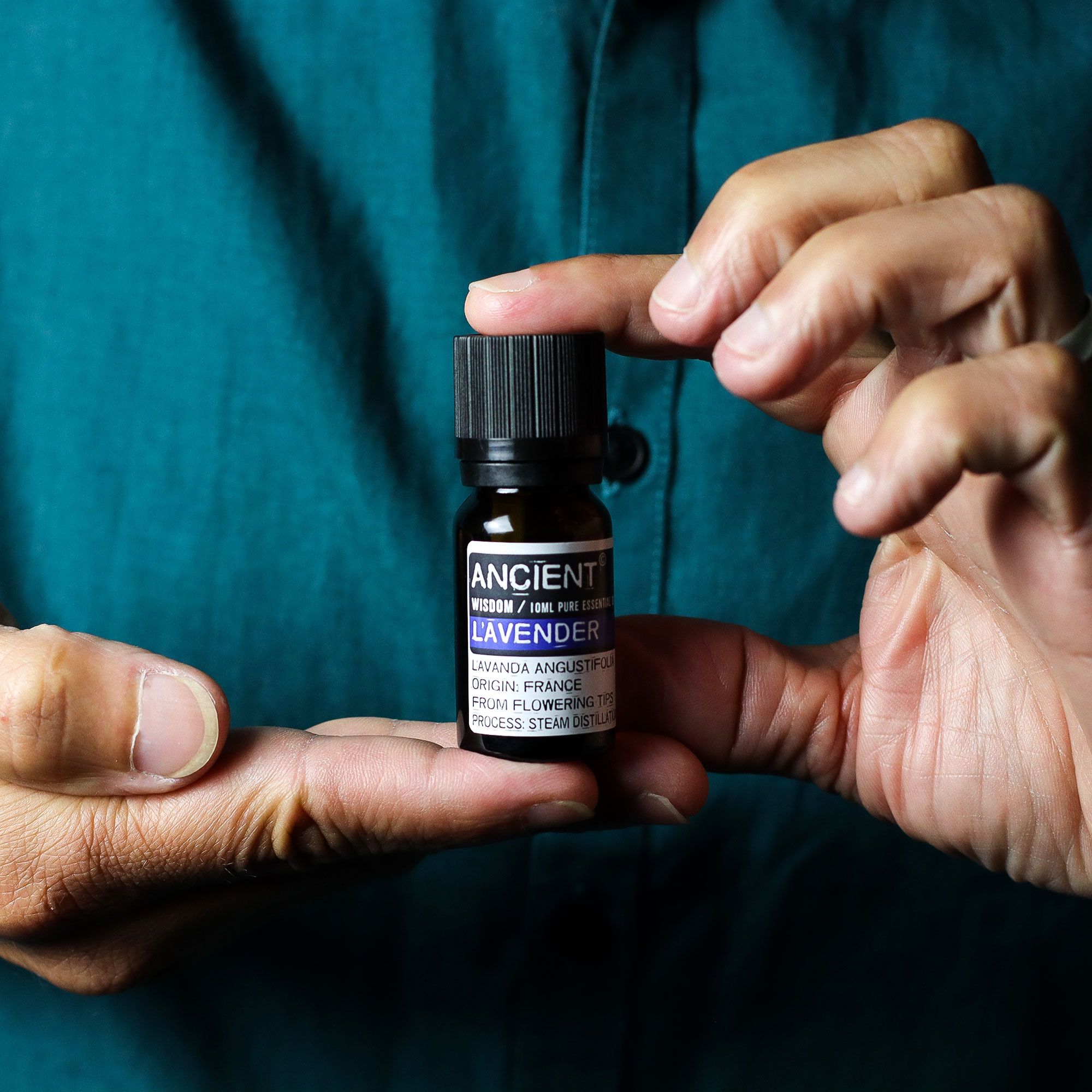Set of Lavender, Tea Tree & Rosemary Essential Oils - 10ml Each