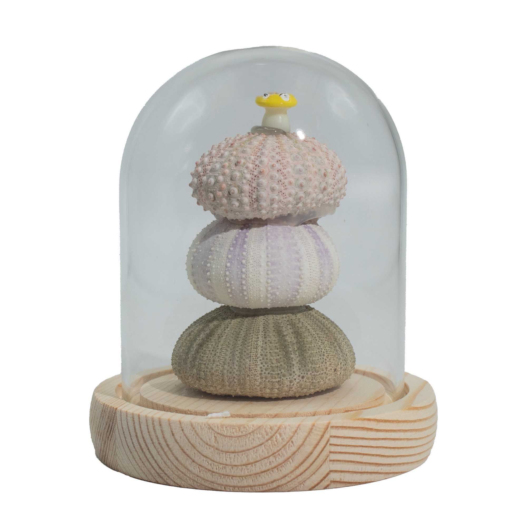 Floral Glow Garden Dome - 3 Sea Urchins - LED USB