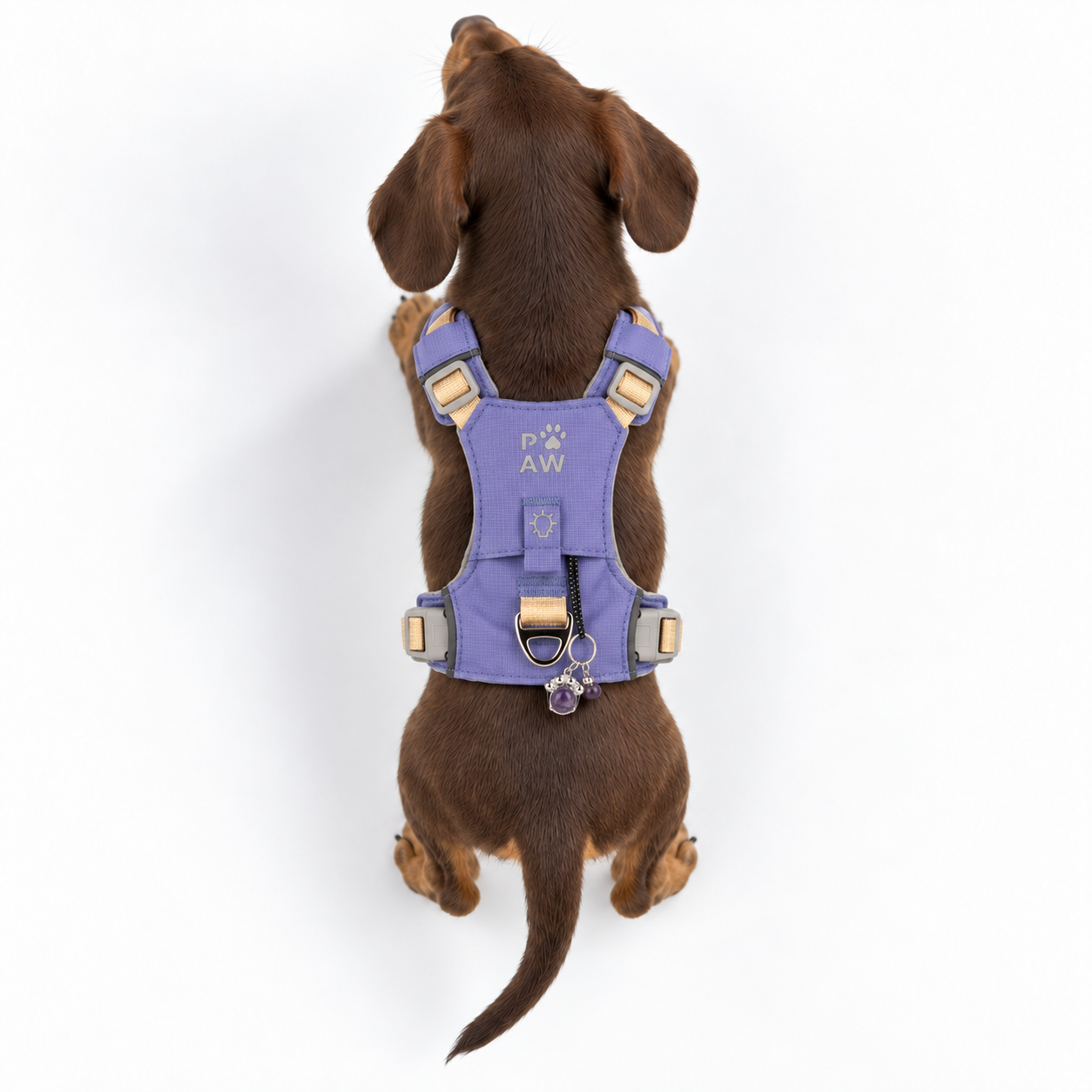 PAW - XS (2-4Kg) Dog Step-in Guardian Harness with Reflective Mesh - Lavender - Amethyst Charm