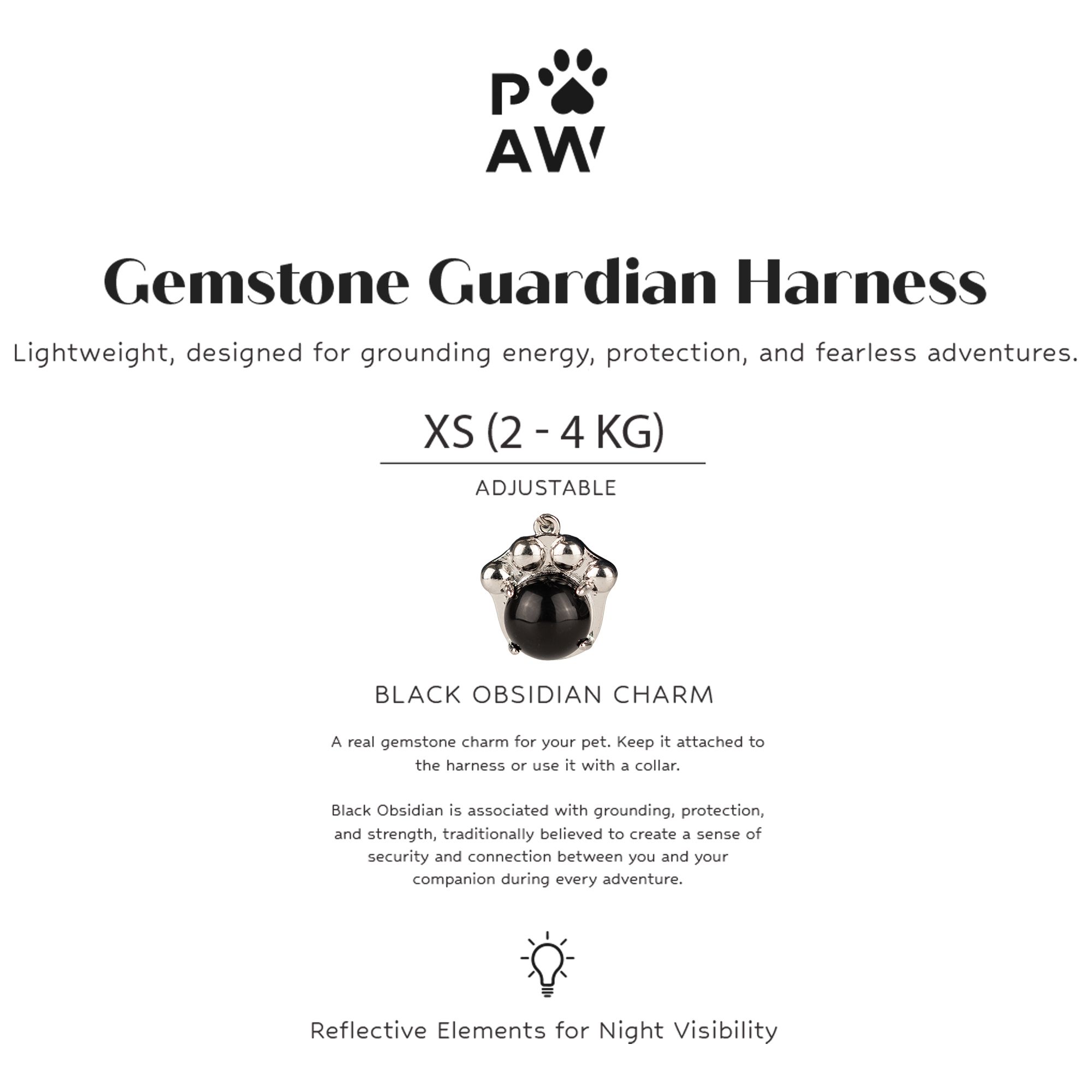 PAW - XS (2-4Kg) Dog Step-in Guardian Harness with Reflective Mesh - Rock Grey - Black Obsidian Charm