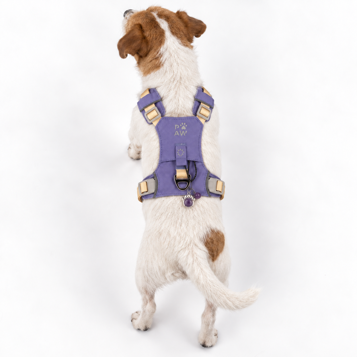 PAW - S (4-8Kg) Dog Step-in Guardian Harness with Reflective Mesh - Lavender - Amethyst Charm