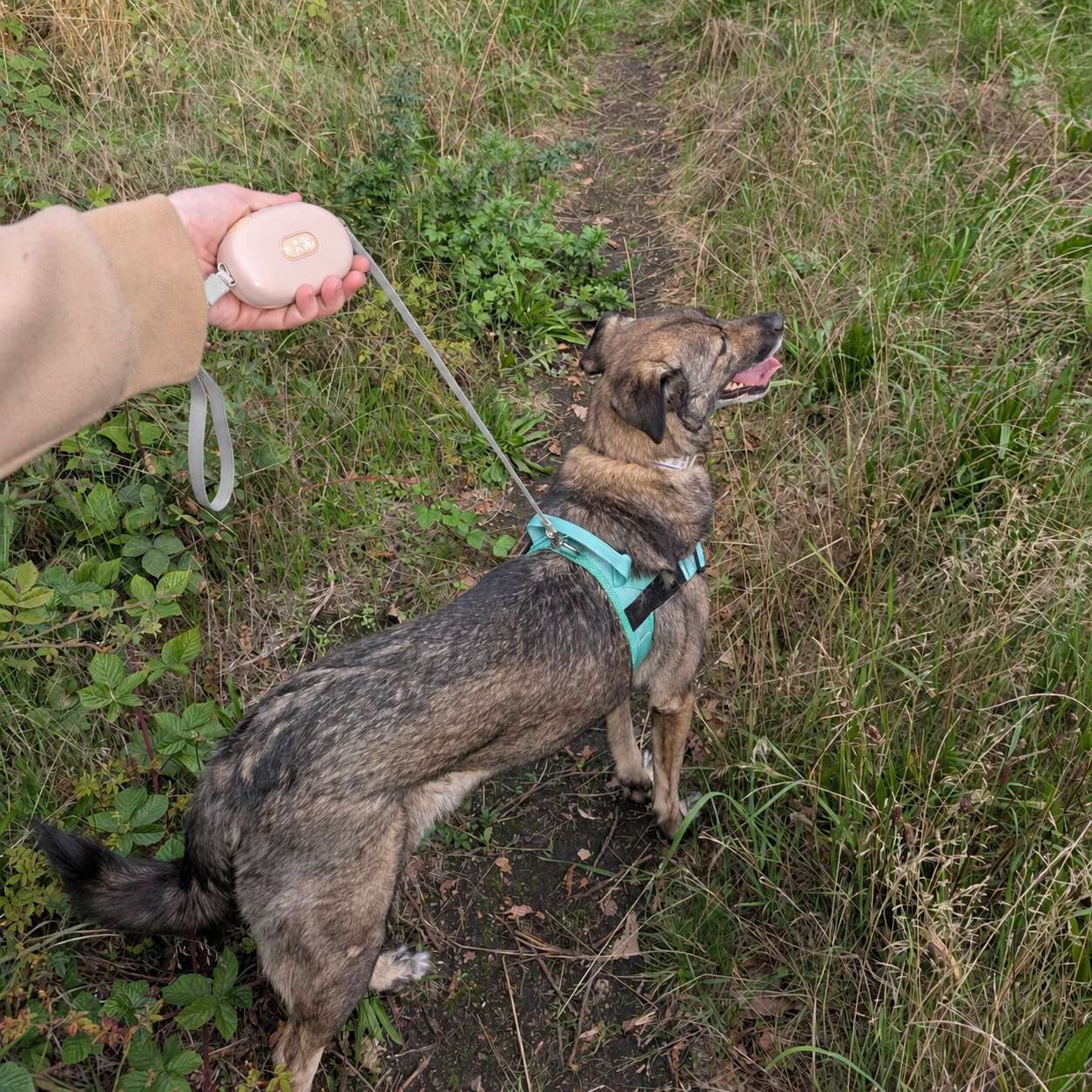 Paw Pet Leash - Pocket Pod - Pink - 1.5m