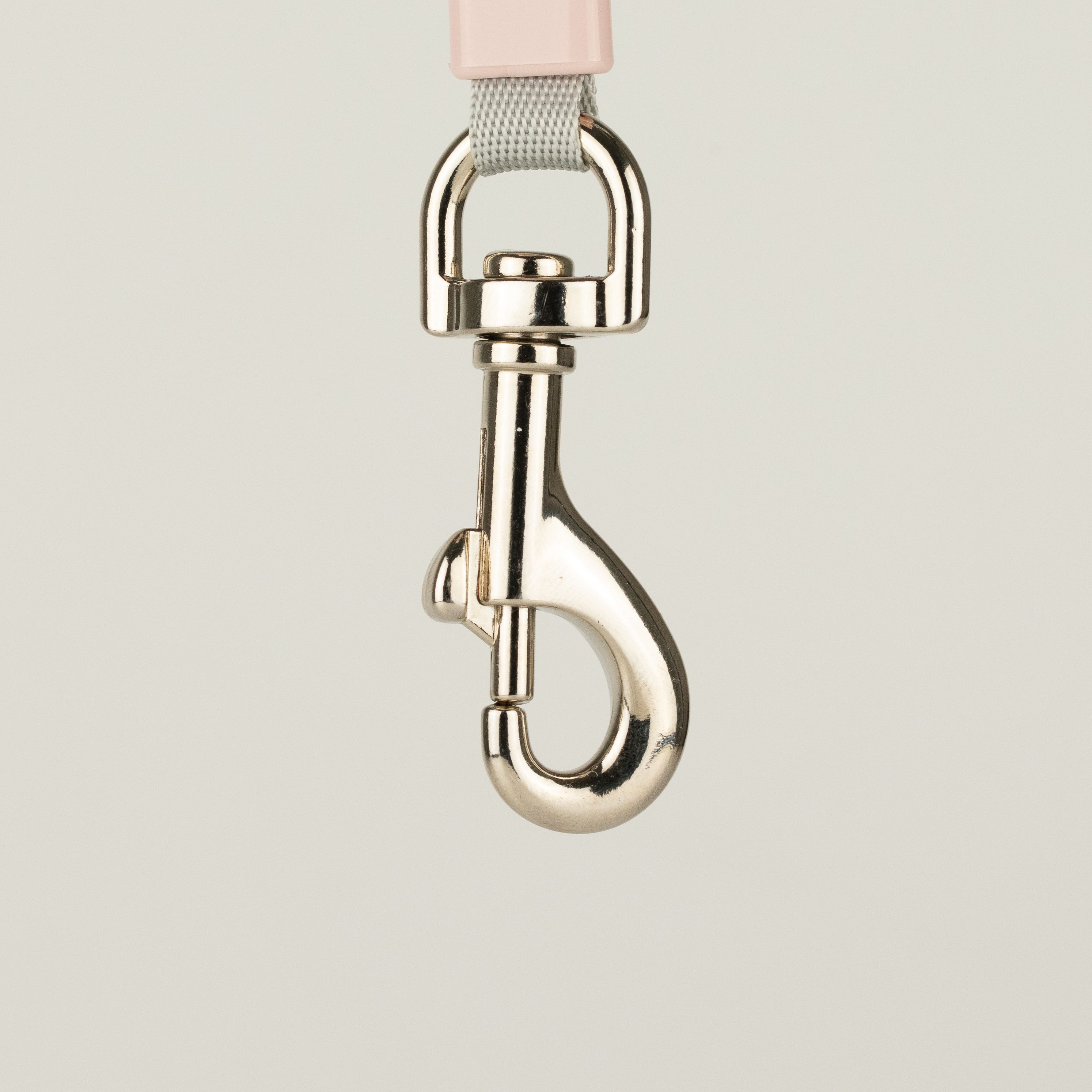 Paw Pet Leash - Mini Mango - Plum - 3m