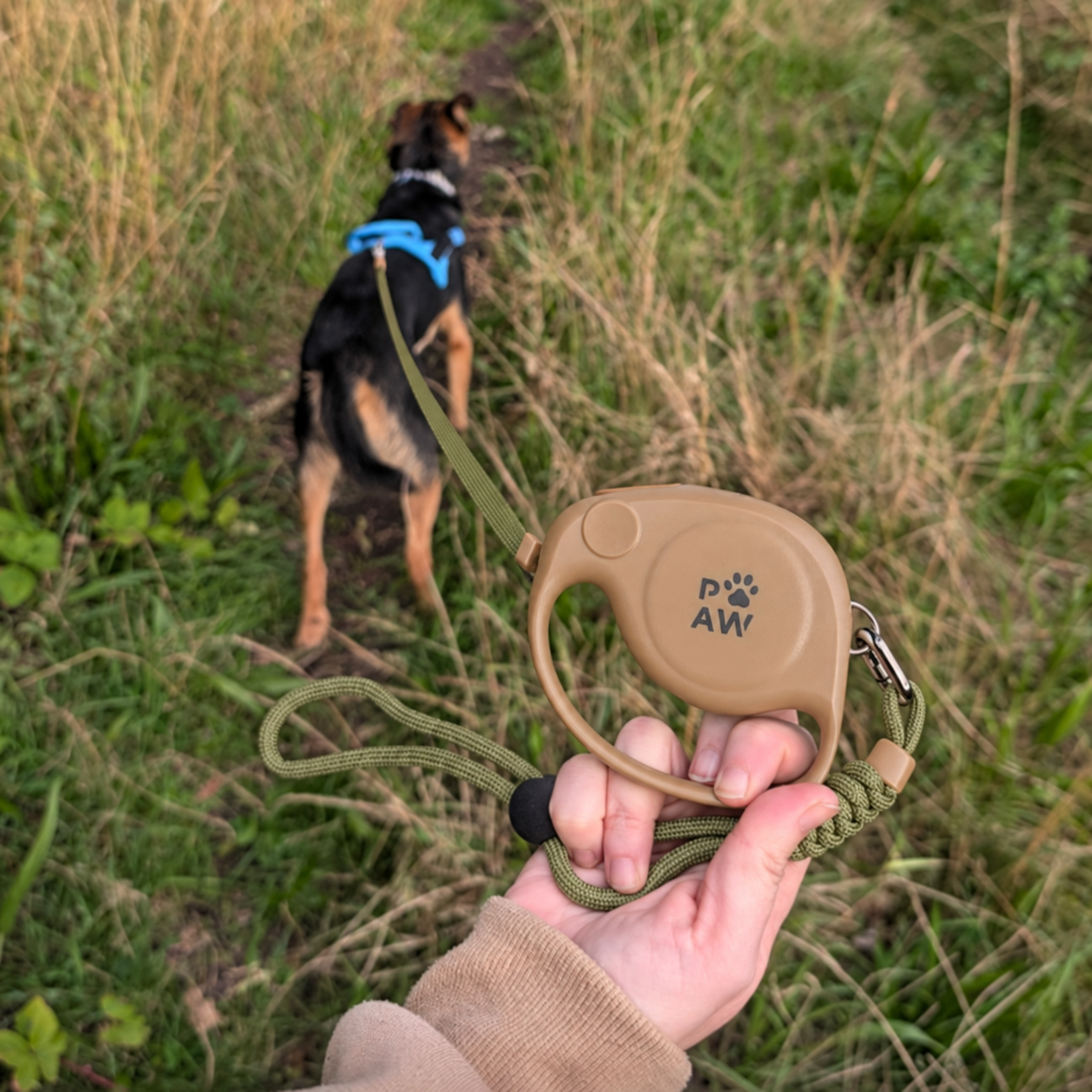 Paw Pet Leash - Elephant Strap - Brown - 2m