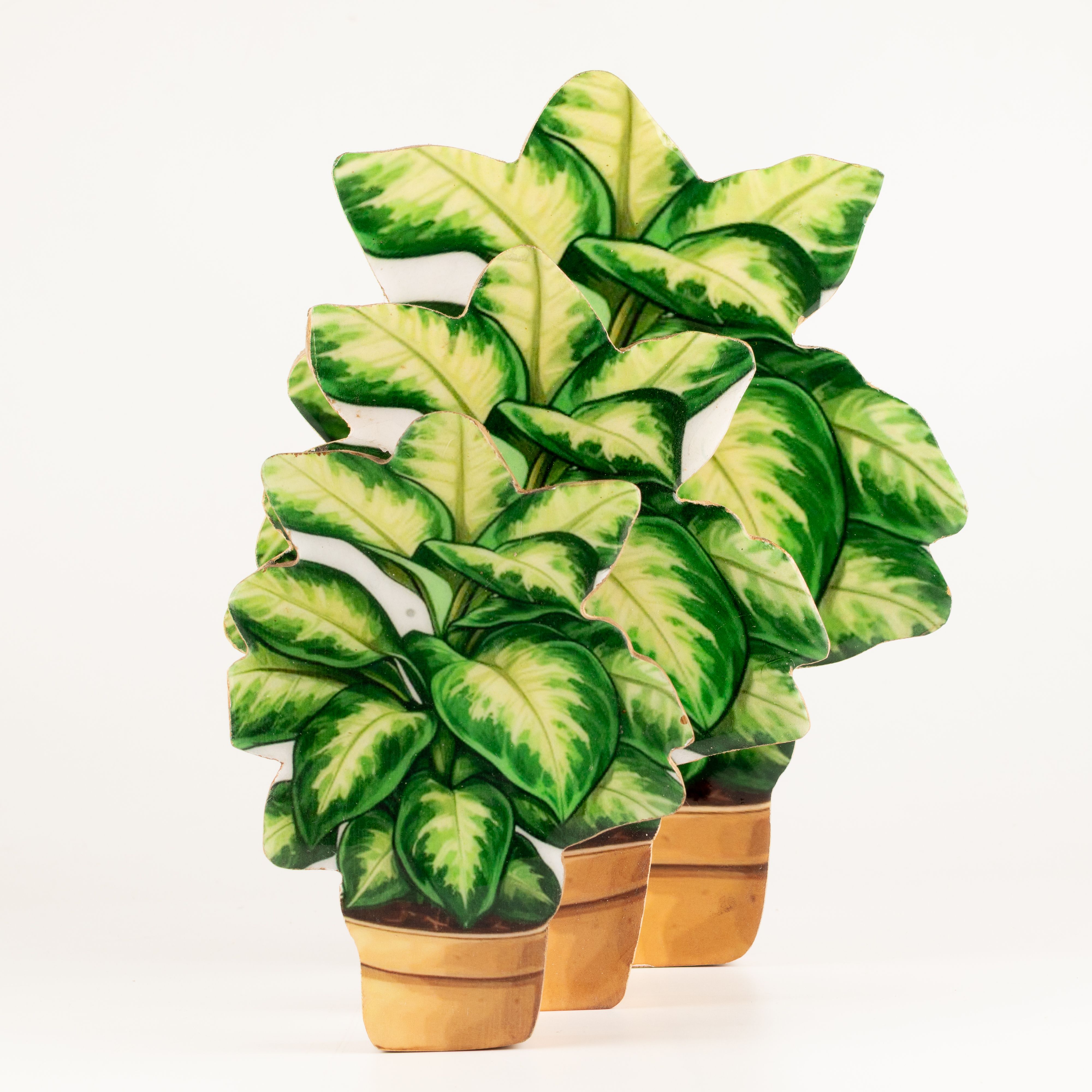 Wooden House Plants - Large Pansy