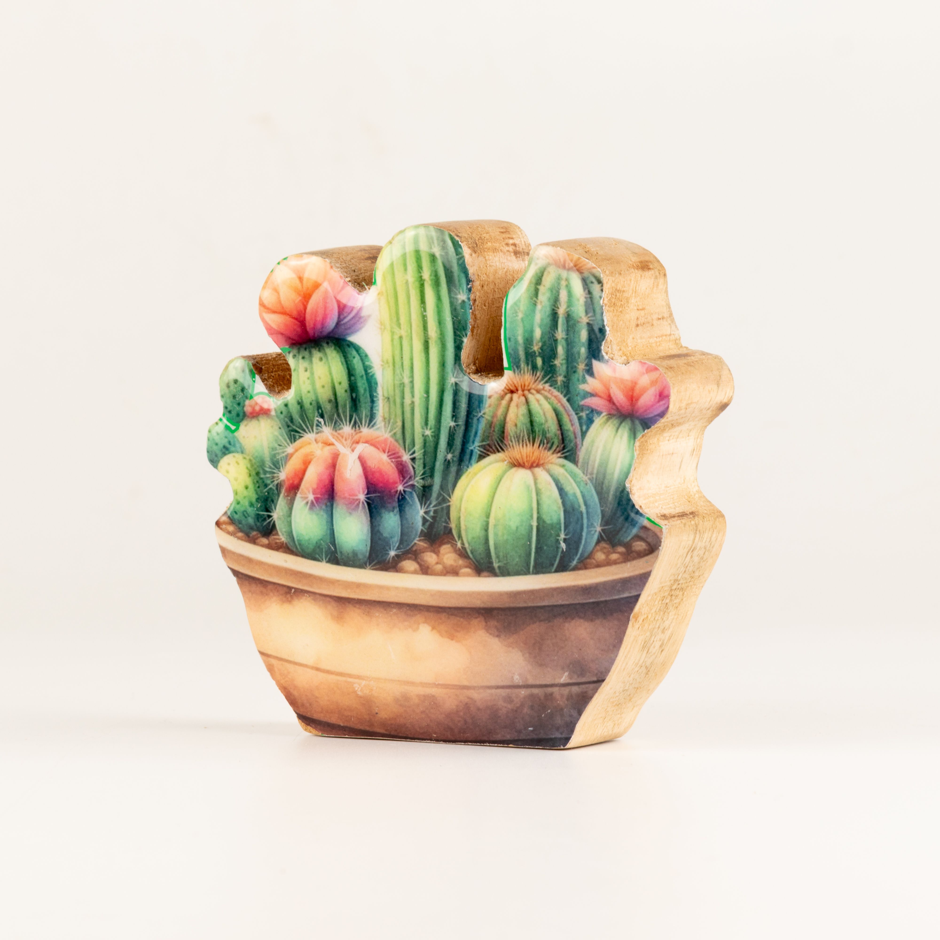 Wooden House Plants - Mini Cactus Garden
