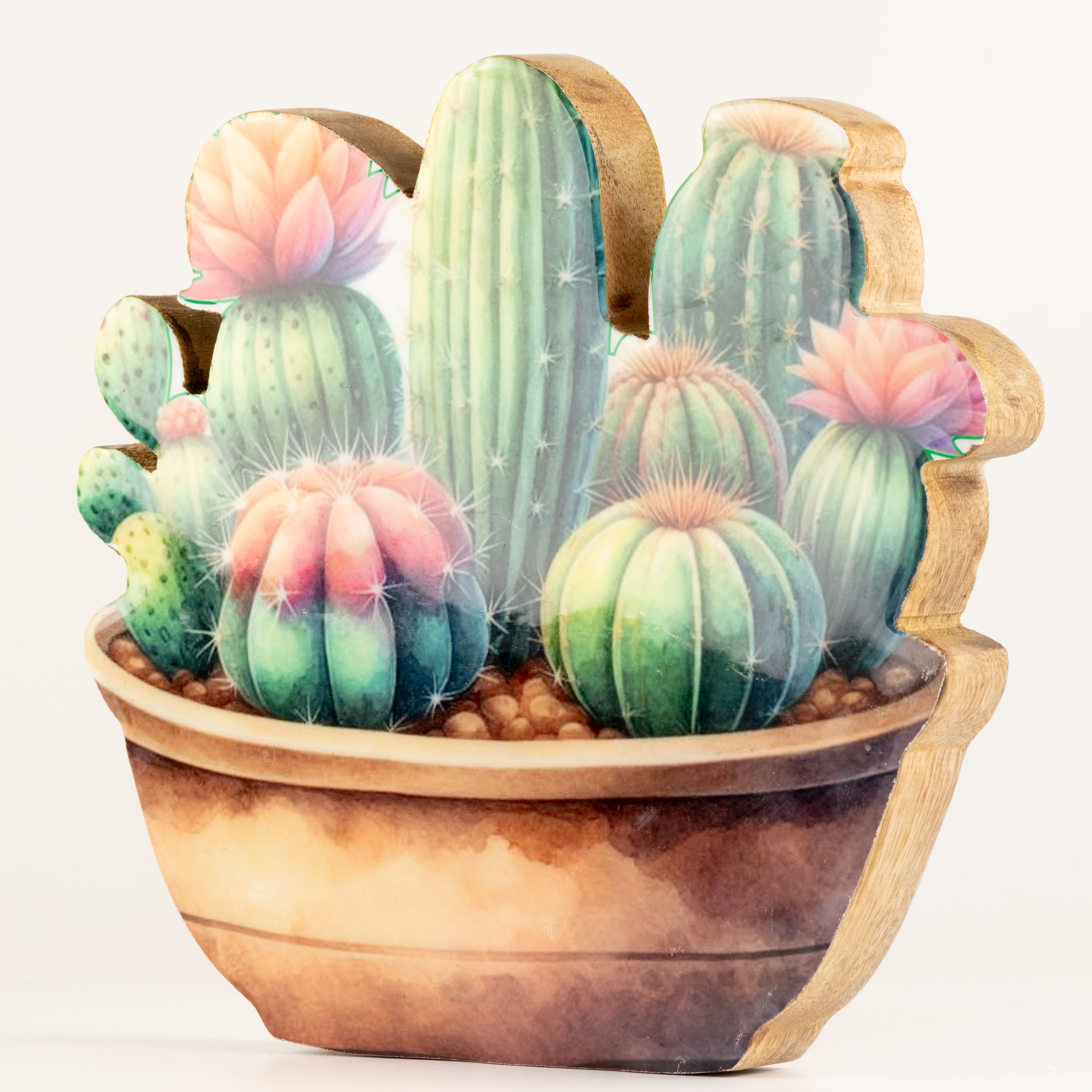 Wooden House Plants - Large Cactus Garden