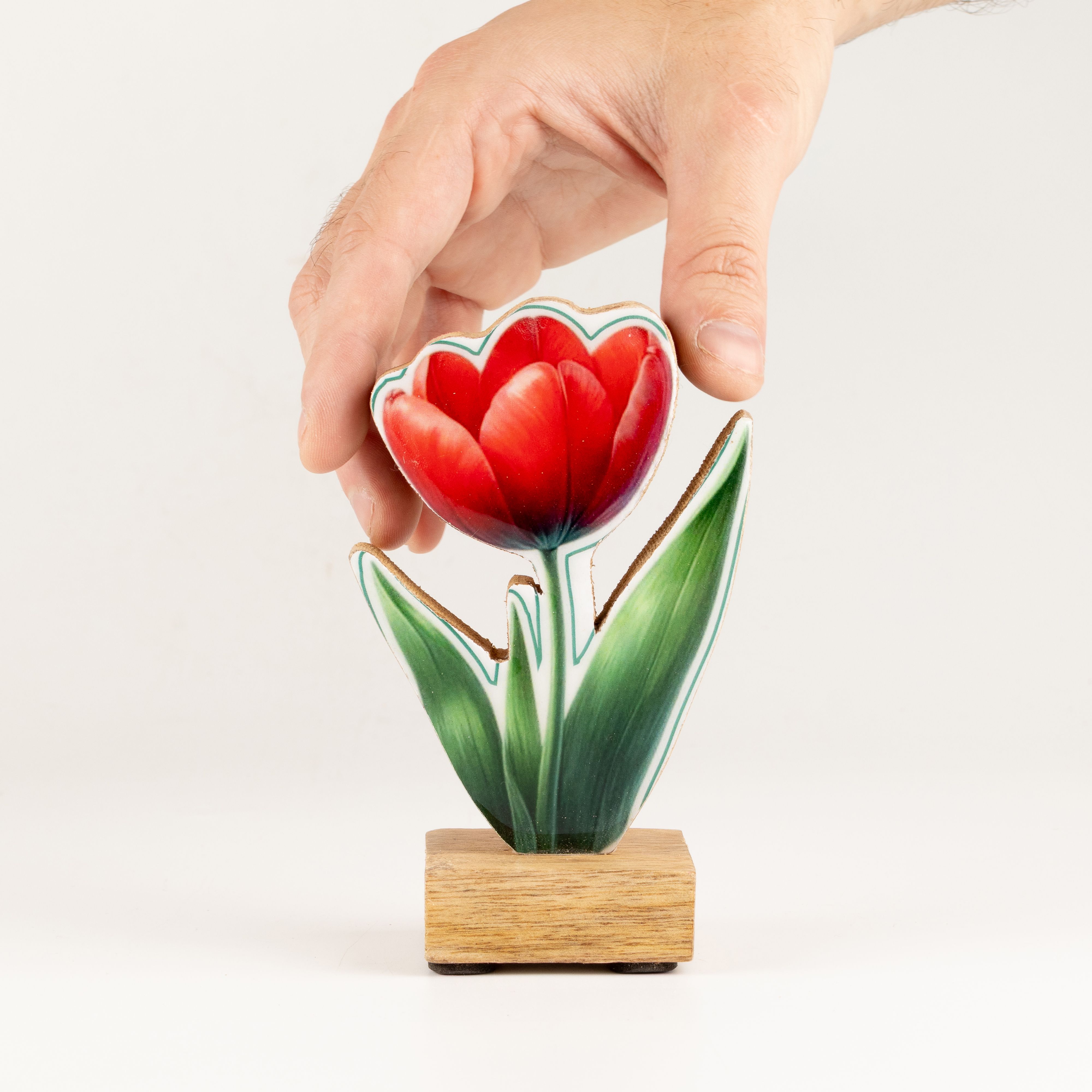 Wooden House Plants - Mini Tulip