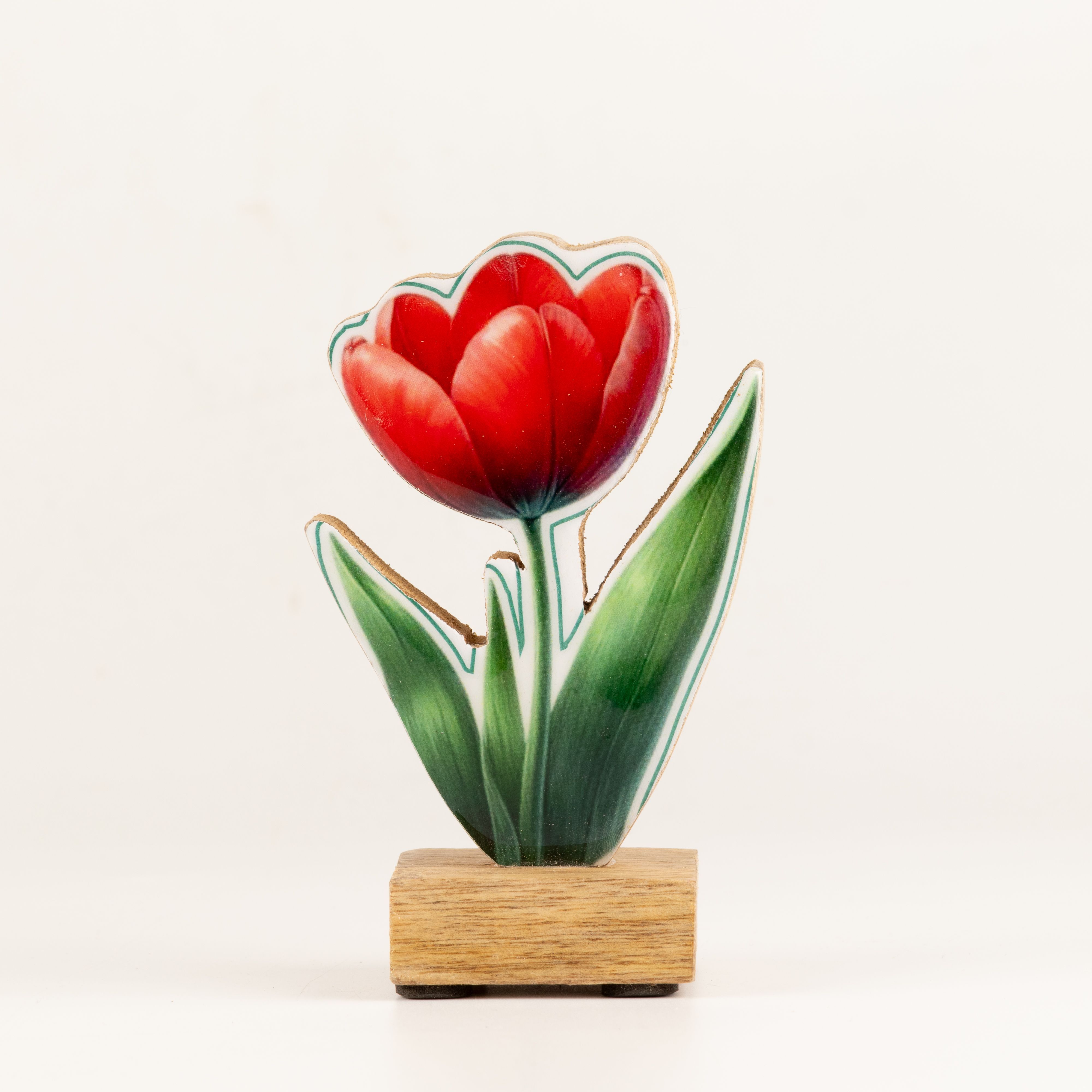 Wooden House Plants - Mini Tulip