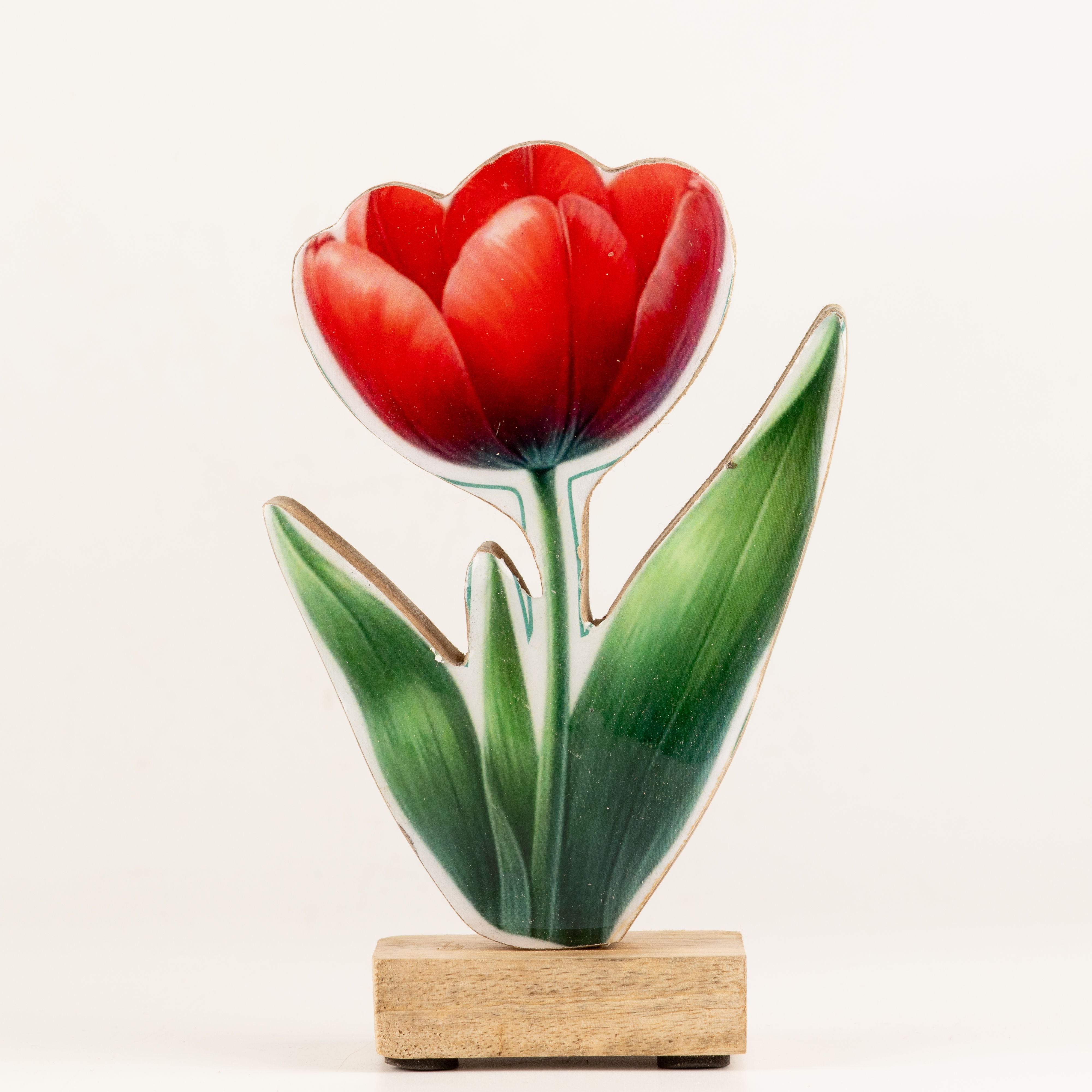 Wooden House Plants - Medium Tulip