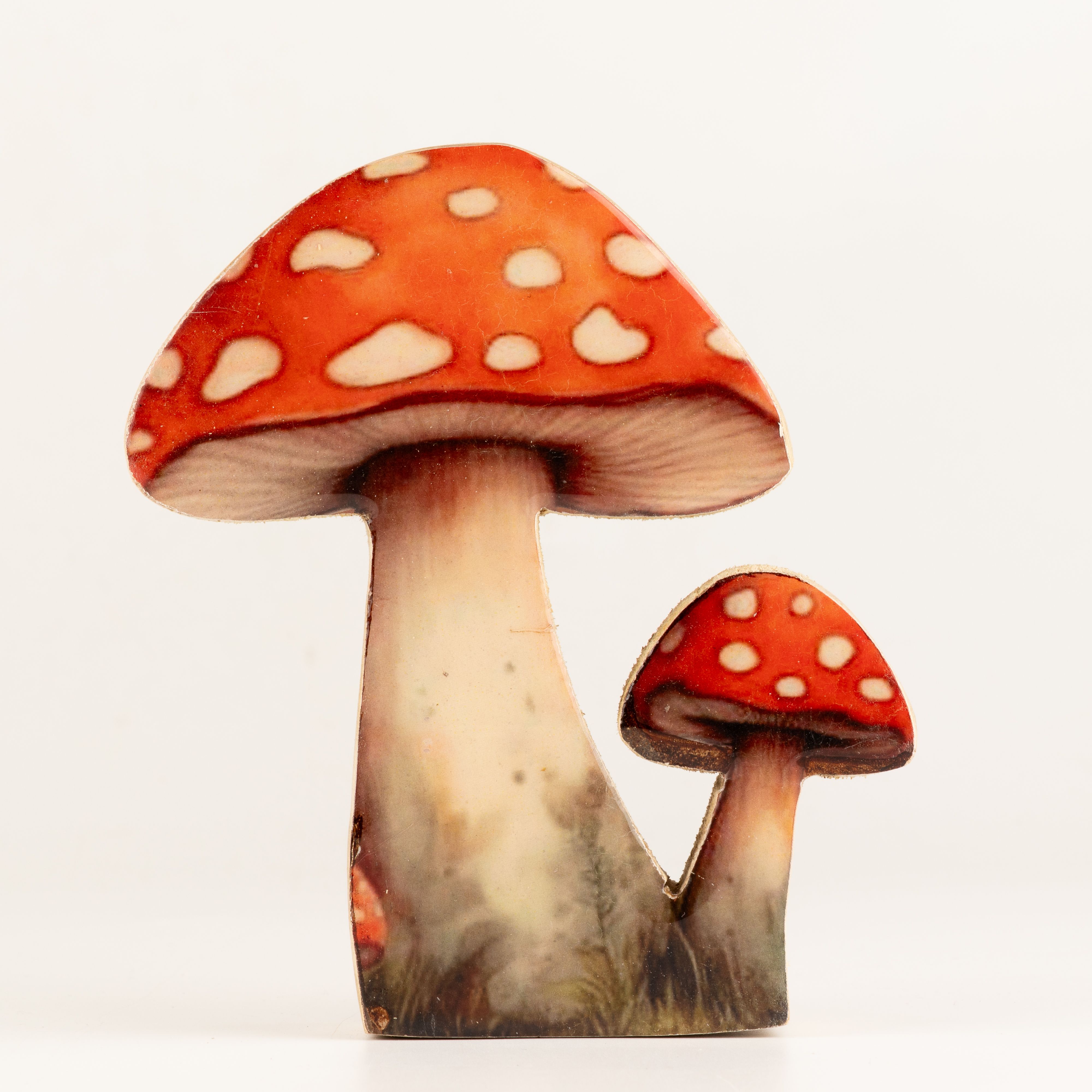 Wooden House Plants - Medium Redcap Mushroom