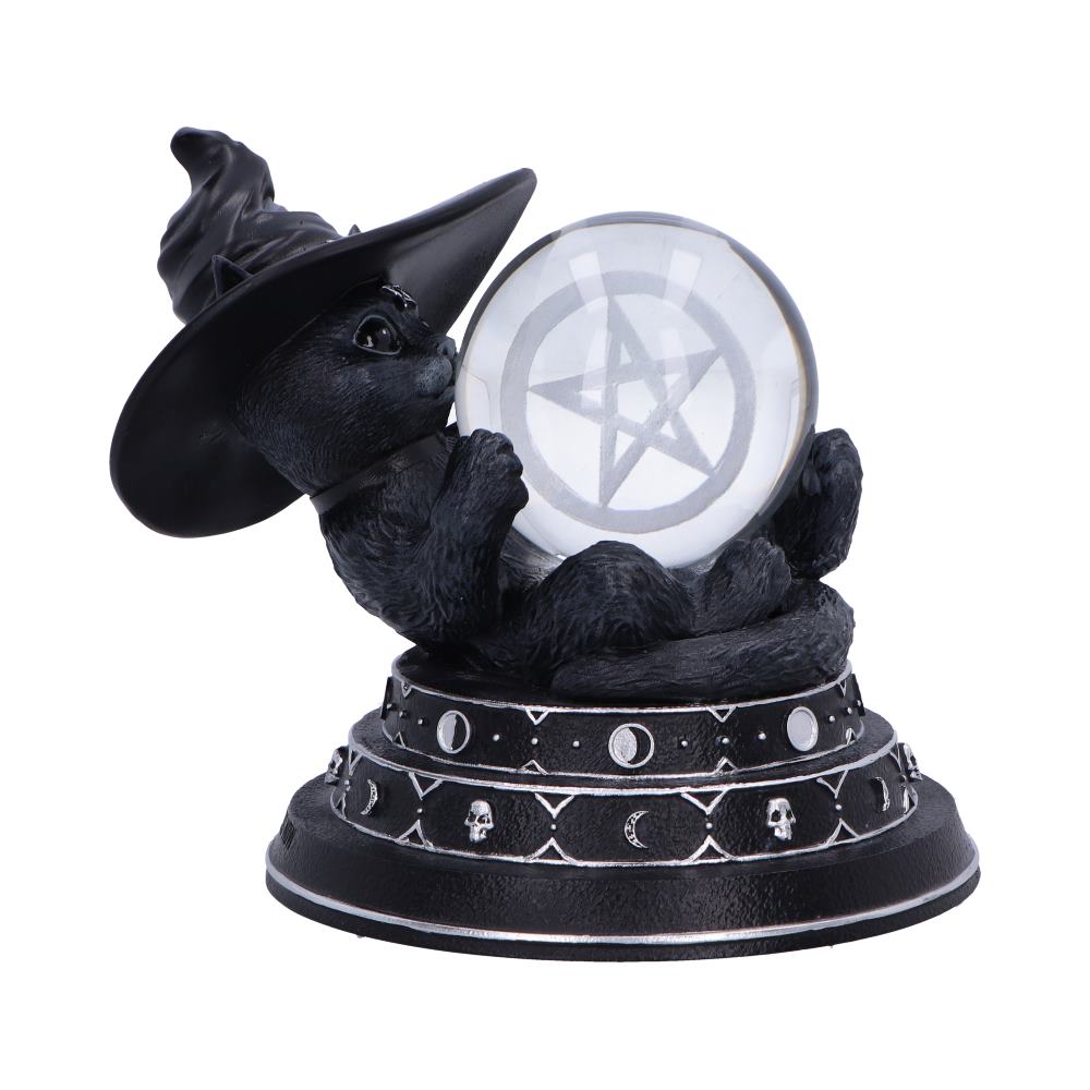 Purrah's Fortune 12.2cm