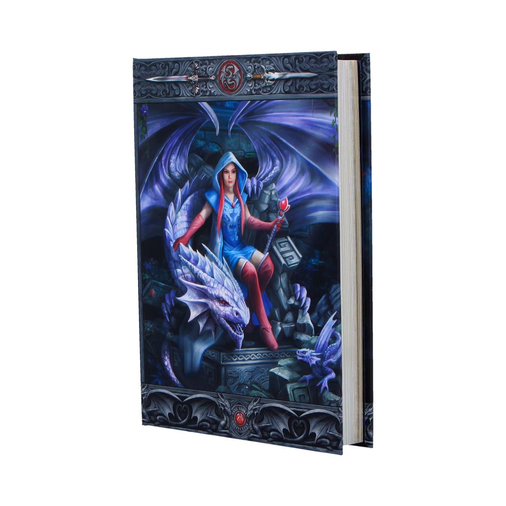 Dragon Mage Journal (AS) 17cm
