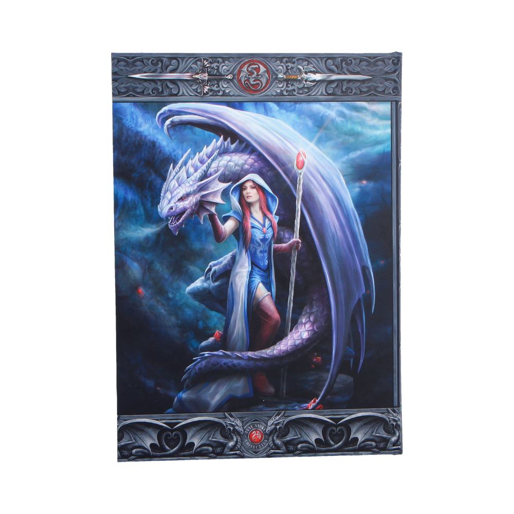Dragon Mage Journal (AS) 17cm