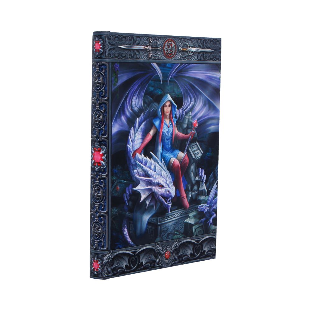 Dragon Mage Journal (AS) 17cm