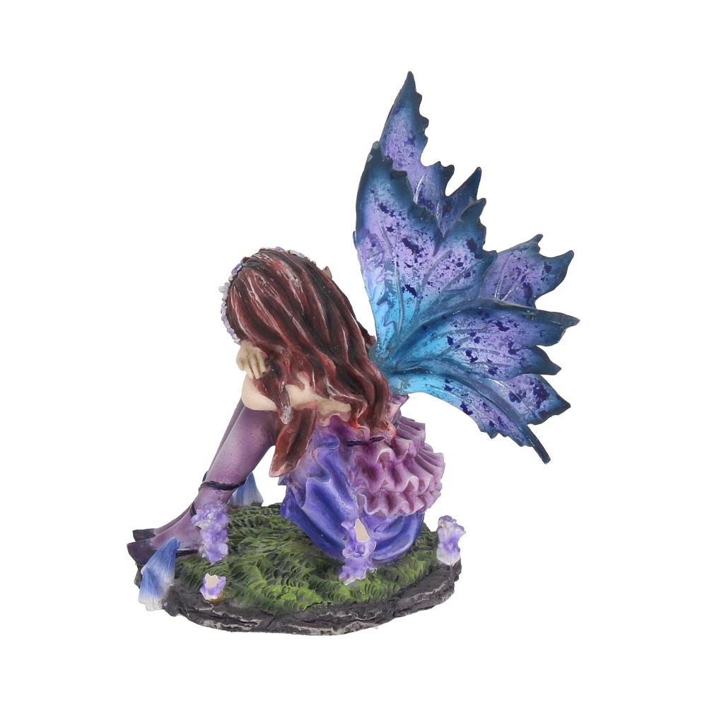 Akina.  10cm