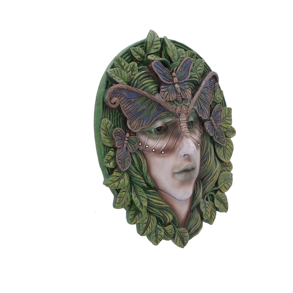 Fern 20cm