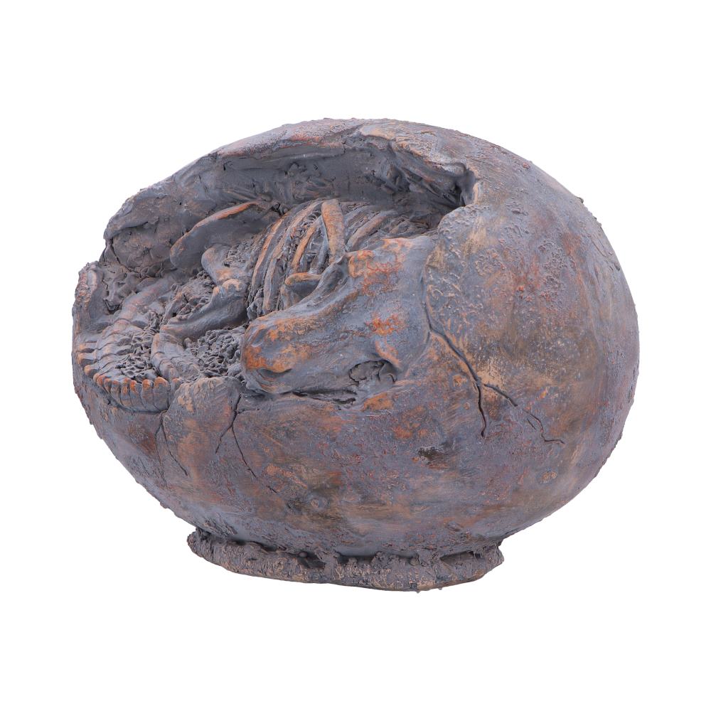 Tyrannosaurus Rex Egg