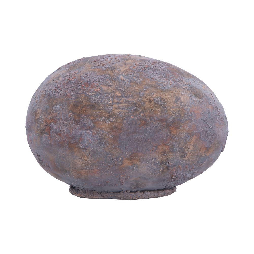Tyrannosaurus Rex Egg