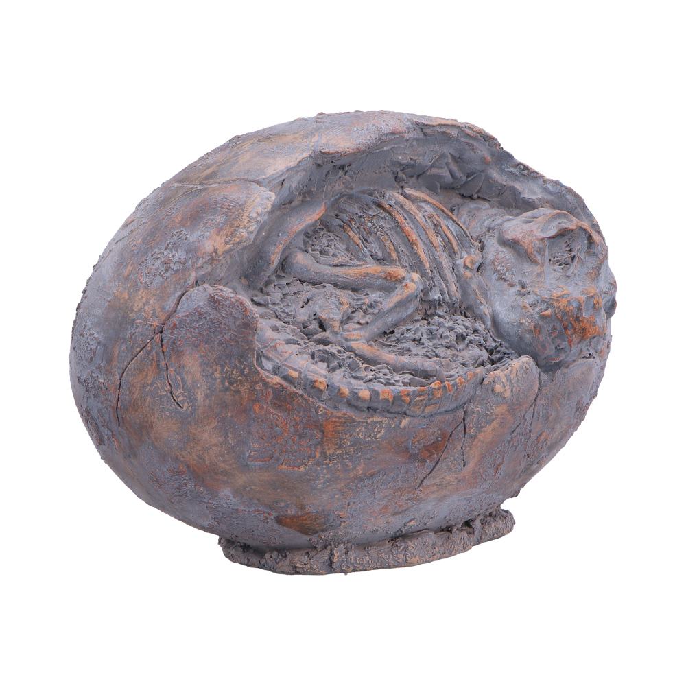 Tyrannosaurus Rex Egg