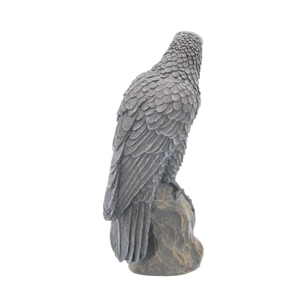 Ravens Rest 16cm