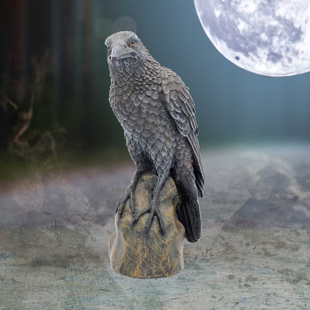 Ravens Rest 16cm