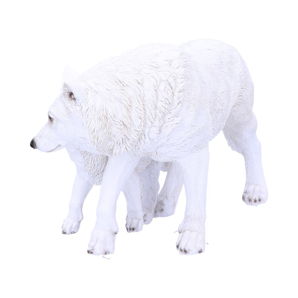 Winter Offspring 27.5cm