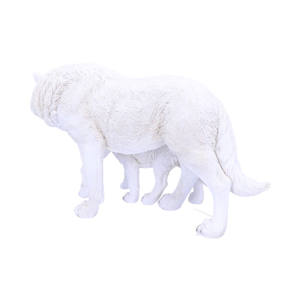 Winter Offspring 27.5cm