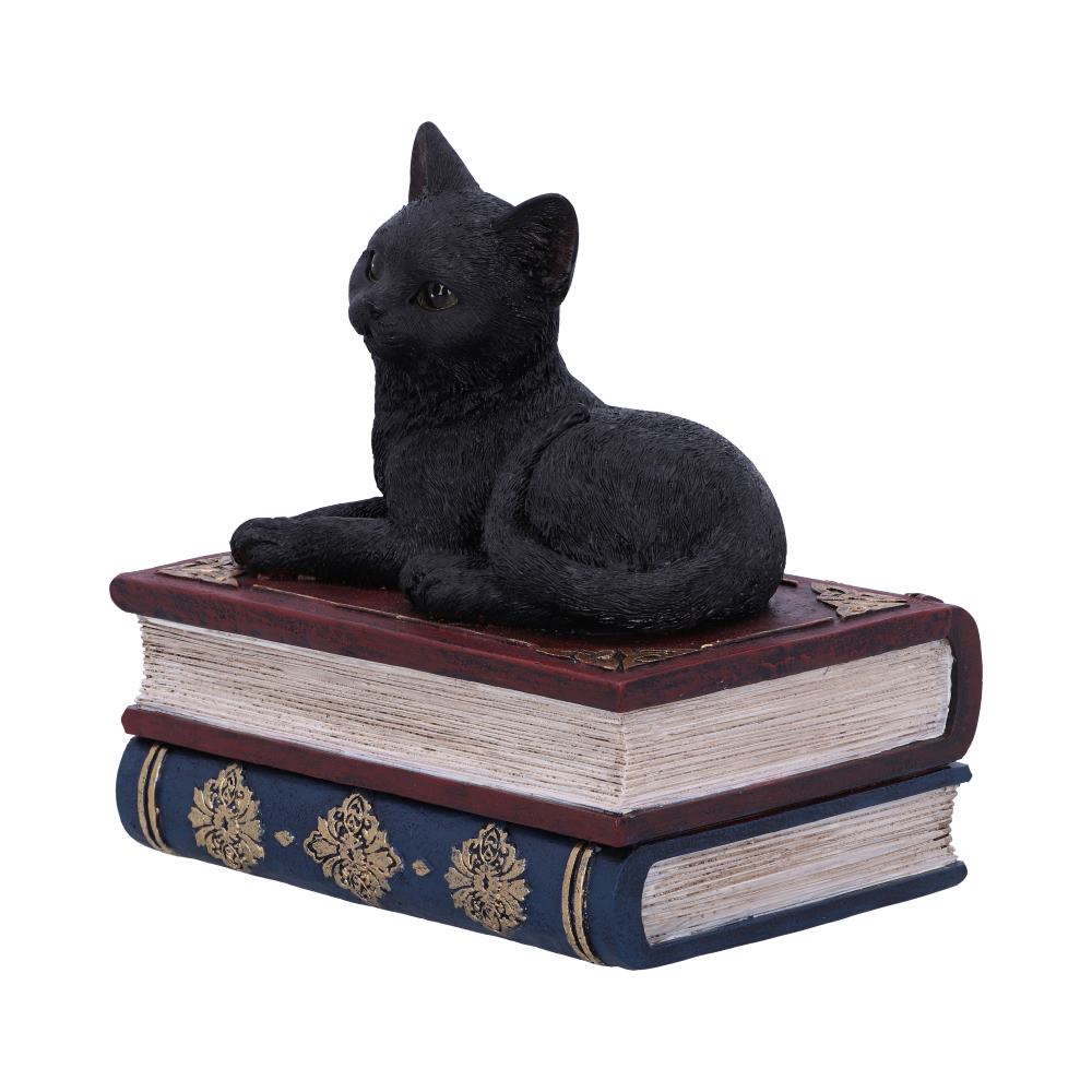 Salems Spells 11.7cm