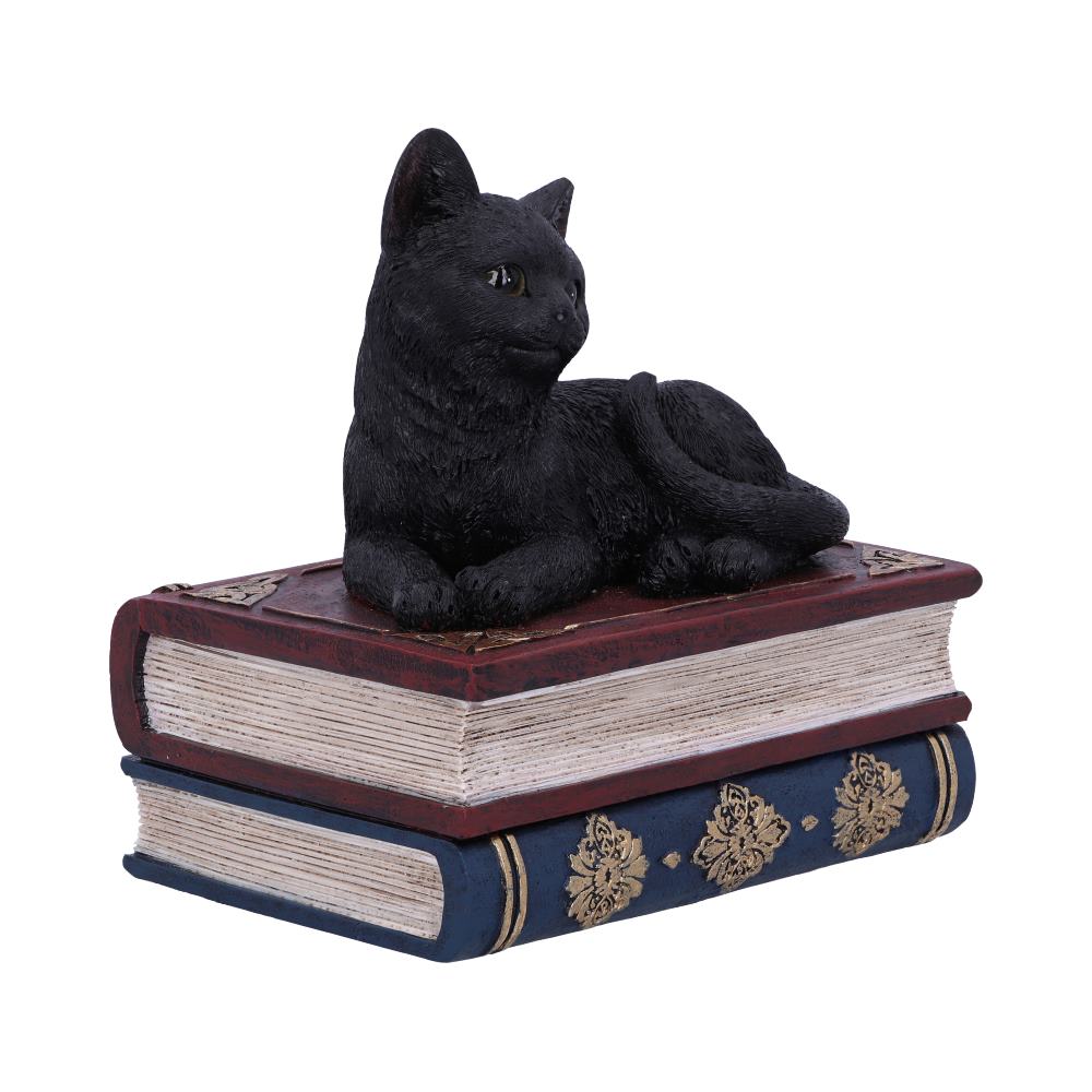 Salems Spells 11.7cm