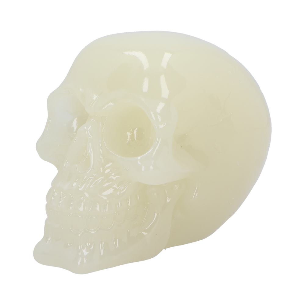Phosphorescent (Medium) 13cm