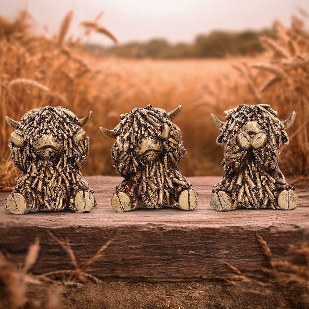 Three Wise Gold Highland Cows