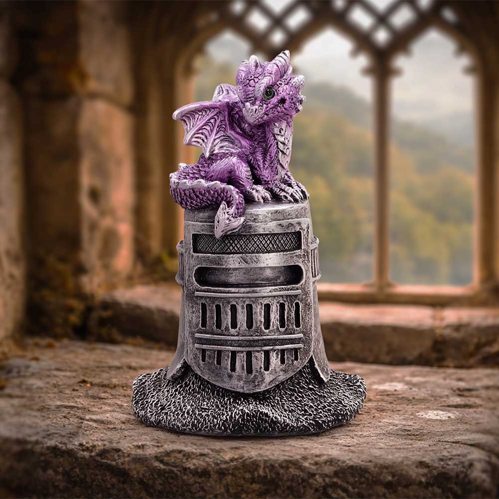 Hatchling Helm (Purple)